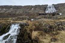Small Group Tour Ísafjordur Dynjandi Waterfalls and Farm 