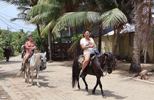 Roatan Horseback Ride and Swim