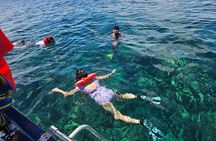Shore Excursion Roatan Zip Line, Wildlife Eco-Park and Snorkel