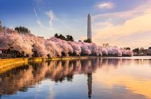 Private & Customizable Tour of Washington DC