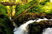 Small Group Olympic National Park Day Tour from Seattle 2CanGo