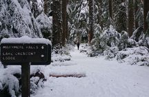 Small Group Olympic National Park Day Tour from Seattle 2CanGo
