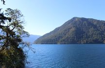Small Group Olympic National Park Day Tour from Seattle 2CanGo