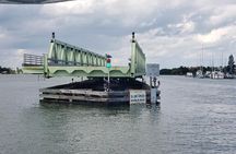 2 Hr Dolphin Melbourne, Merritt Island ,Cocoa Beach.1030 am