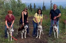 Husky Hike - Guided Nature Walk w/ Siberian Huskies