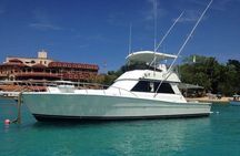 Puerto Plata 5-Hour Private Deep Sea Fishing Excursion