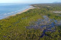 Private Wildlife Tour in Avellanas Beach