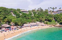Private Tour to Carrizalillo Mirador Turtles and Release Turtles