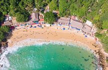 Private Tour to Carrizalillo Mirador Turtles and Release Turtles