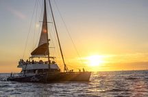 Cabo Cruise Sunset Adventure: Tacos, Margaritas & Sea Lions