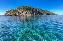 Port Stephens: Dolphin Watch Eco Adventure