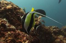 SSI Open Water Diving Course in Costa Rica 3 days