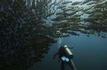 SSI Open Water Diving Course in Costa Rica 3 days