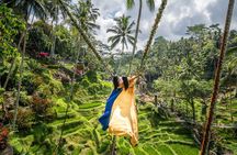 Bali: Swing Heaven, Monkey Forest and Waterfall Guided Tour
