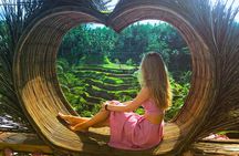 Bali: Swing Heaven, Monkey Forest and Waterfall Guided Tour