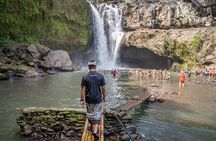 Bali: Swing Heaven, Monkey Forest and Waterfall Guided Tour