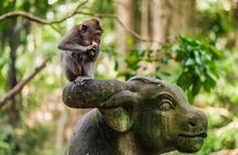 Bali: Swing Heaven, Monkey Forest and Waterfall Guided Tour