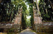 Bali: Monkey Forest, Rice Terrace and Ubud Market Guided Tour