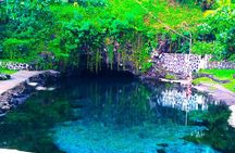 Cave Pools and Lava Tube Swims in Upolu