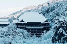 Kiyomizu Temple, Fushimi Inari Taisha and Nara Park Day Tour