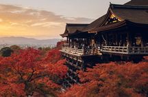 Kiyomizu Temple, Fushimi Inari Taisha and Nara Park Day Tour