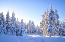 Family-Friendly: Frozen Waterfalls Tour from Rovaniemi