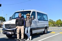 Noosa Heads and Eumundi Markets Private Tour from Brisbane