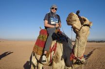 Super Safari Elite in Hurghada Egypt 