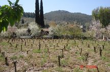 Wine Tasting and Village Shore Tour from Kusadasi Port