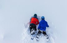 Snowshoeing tour with Wild Lunch