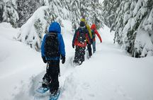 Snowshoeing tour with Wild Lunch