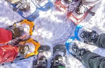 Snowshoeing tour with Wild Lunch