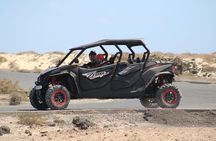 2-hour 4-seater Buggy experience in Fuerteventura
