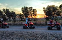 Quad Adventure in Palmeraie