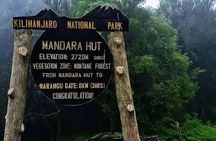 Mount Kilimanjaro Day Hike Up to Mandara Hut