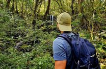 Mount Kilimanjaro Day Hike Up to Mandara Hut