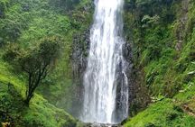 1-Day Materuni Waterfalls, Coffee Tour and Chemka Hot Spring