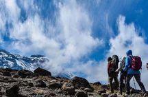1 Day Mount Kenya National Park Hike Through Narumoro Route