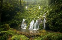 Jungle Trekking Day Tour