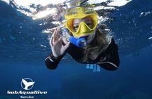 Snorkeling in the Marine Protected Area of Capo Carbonara