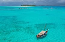 Private/Sharing: Explore Mnemba Island with a dhow