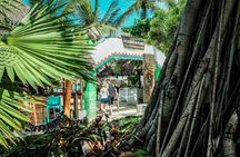 Sayulita & San Pancho Private Tour from Puerto Vallarta