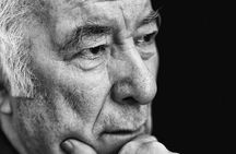 In the Footsteps of Seamus Heaney | Private Car Tour