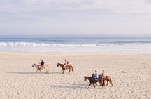 Horseback Riding Tour on the Beach in Puerto Escondido