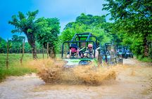 Punta cana Boogie into the Jungle with Coffee and Chocolate Taste