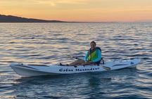 Paddle board or Kayak Rental