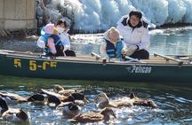 Winter Wonderland Healing Park and Gyeongju/Daegu Tour from Busan