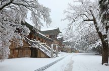 Winter Wonderland Healing Park and Gyeongju/Daegu Tour from Busan