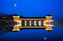 Winter Wonderland Healing Park and Gyeongju/Daegu Tour from Busan