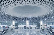 From Hong kong to Shenzhen tour with Flexible Itinerary / English